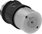 Socket