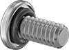 Rounded Head Screws