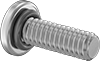 Sealing Pan Head Screws