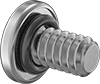 Rounded Head Screws