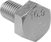 Hex Head Screws
