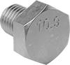 Hex Head Screws