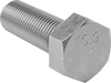 Hex Head Screws