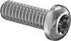 Torx Rounded Head Screws
