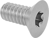 Steel Torx Flat Head Screws
