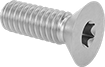 Image of Product. Front orientation. Flat Head Screws. Steel Torx Flat Head Screws.