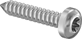 Image of Product. Front orientation. Tapping Screws. Steel Torx Rounded Head Screws for Sheet Metal.