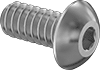 Rounded Head Screws
