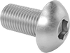 Rounded Head Screws