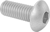 Rounded Head Screws