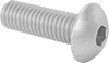 Rounded Head Screws
