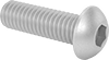 Rounded Head Screws