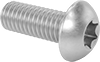 Rounded Head Screws