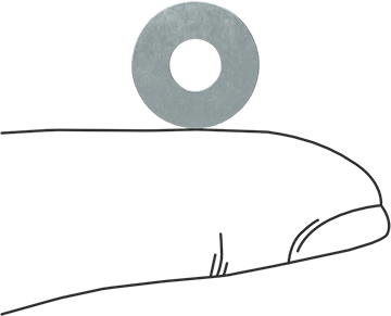 Image of Product. Side1 orientation. Contains SizingReference. Zinc-Plated Steel Washers, Undersized, for Number 10 Screw Size, 0.500" OD.