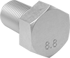 Hex Head Screws