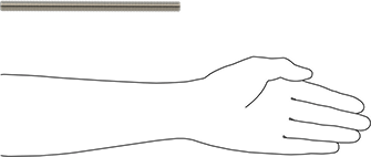 Image of Product. Side1 orientation. Contains SizingReference. Grade B8 18-8 Stainless Steel Threaded Rod, 1/2"-13 Thread Size, 8" Long.