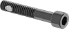 Socket Head Screws