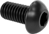 Rounded Head Screws