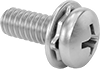 Stainless Steel Pan Head Phillips Screws with Spring Lock Washer
