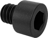 Socket Head Screws