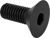 Flat Head Screws