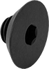 Flat Head Screws