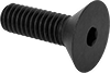 Flat Head Screws