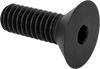 Flat Head Screws