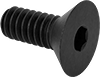 Flat Head Screws