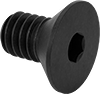 Flat Head Screws