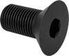 Flat Head Screws