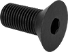 Flat Head Screws
