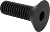 Flat Head Screws