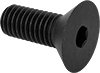 Flat Head Screws