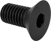 Flat Head Screws