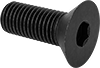 Flat Head Screws