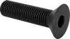 Flat Head Screws