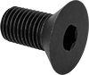 Flat Head Screws