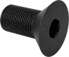 Flat Head Screws