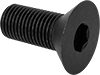 Flat Head Screws
