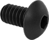 Rounded Head Screws