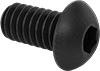 Rounded Head Screws