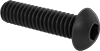 Rounded Head Screws