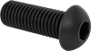 Rounded Head Screws