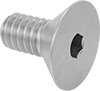 Flat Head Screws