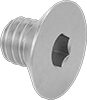 Flat Head Screws