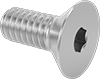 Flat Head Screws