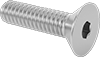 Flat Head Screws
