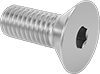 Flat Head Screws