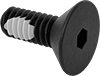 Flat Head Screws